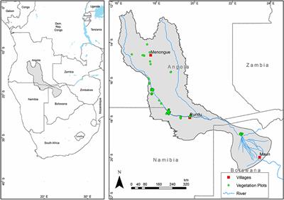 Climatic Drivers of Plant Species Distributions Across Spatial Grains in Southern Africa Tropical Forests